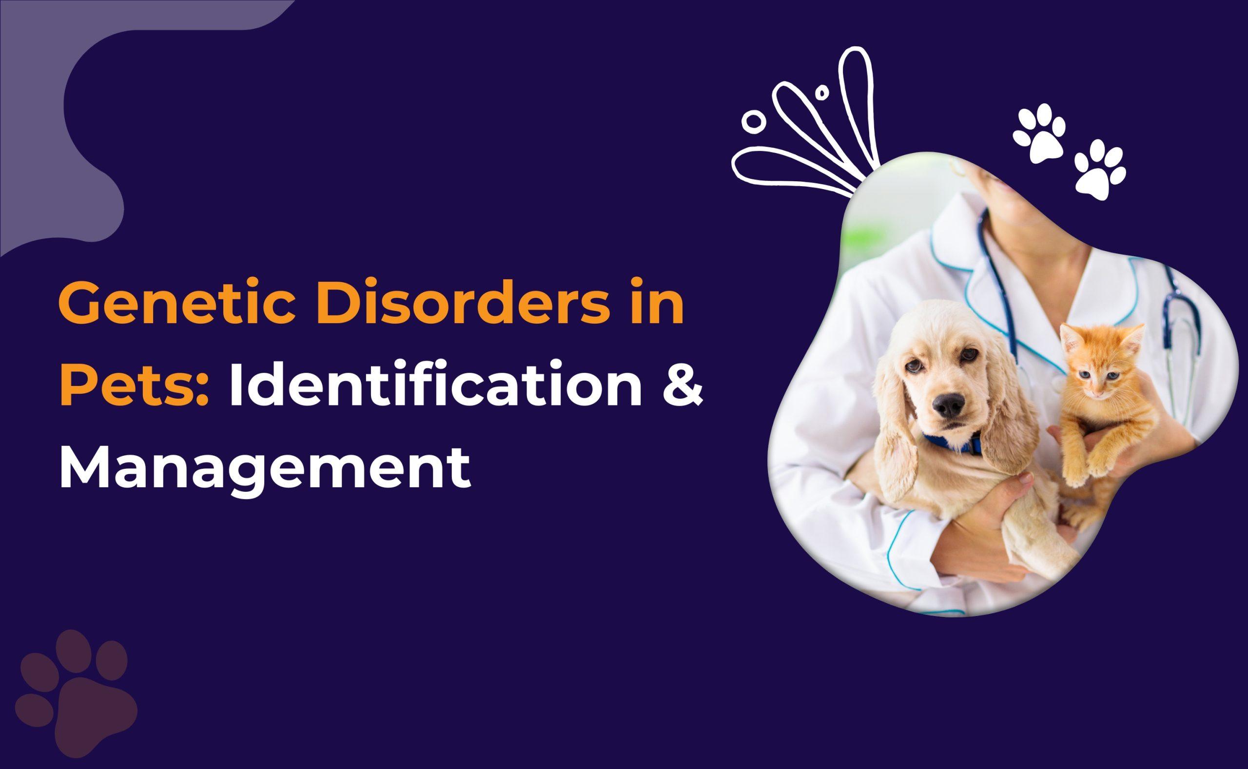 Genetic Disorder in Pets